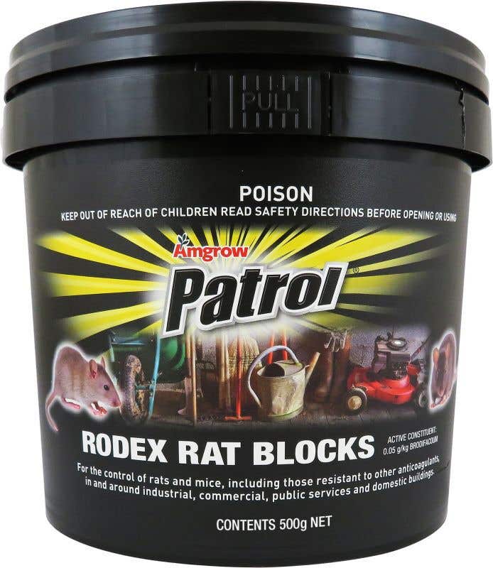 Amgrow Patrol Rodex Rat Blocks 20x25g
