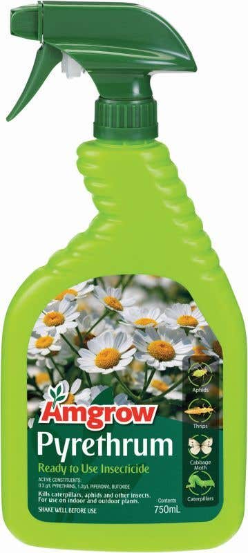 Amgrow Pyrethrum Insecticide 750ml