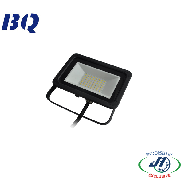 BQ 20W 5000k Cool White IK08 Impact Protection LED Floodlight