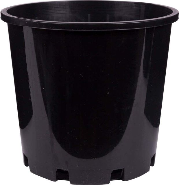 Décor Growers Pot Black 200mm