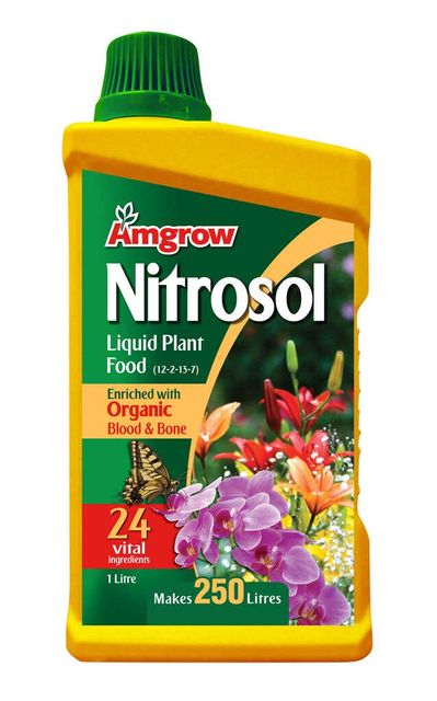 Amgrow Nitrosol Liquid Plant Food 1L