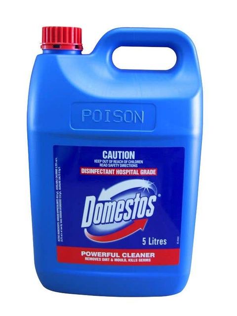 Domestos Regular 5L