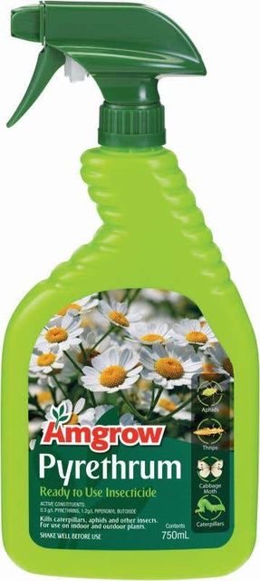 Amgrow Pyrethrum Insecticide 750ml