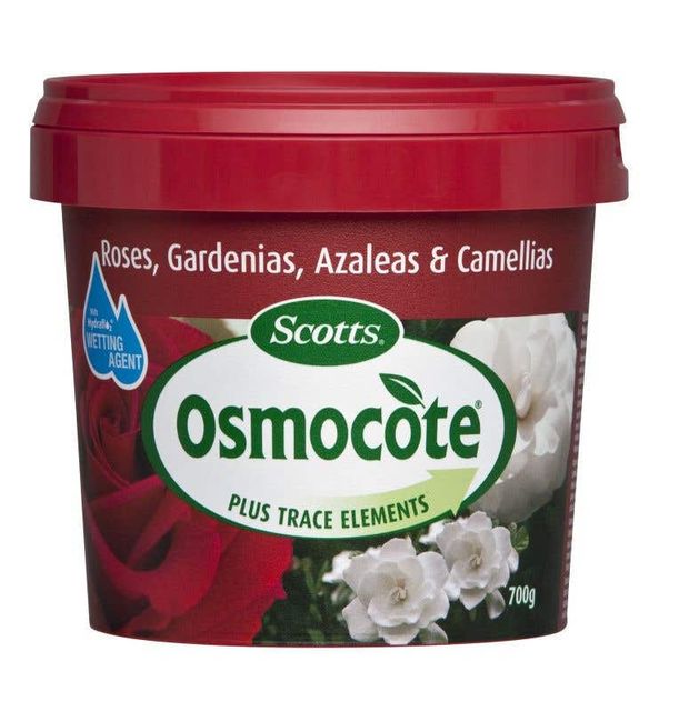 Scotts Osmocote Roses/Gardenias/Azaleas/Camellias 700g