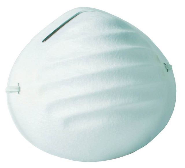 Protector Nuisance Dust Face Masks - 50 Pack