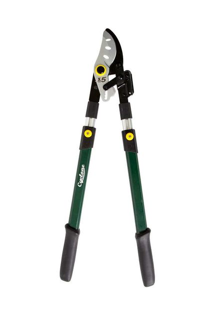 Cyclone Bypass Telescopic Ratchet Lopper