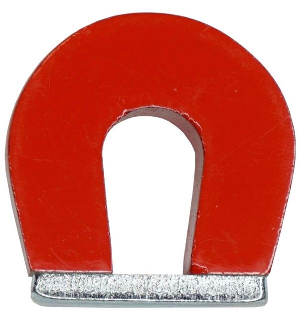 Medalist Pocket Magnet