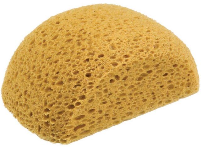 DTA Turtle Back Sponge