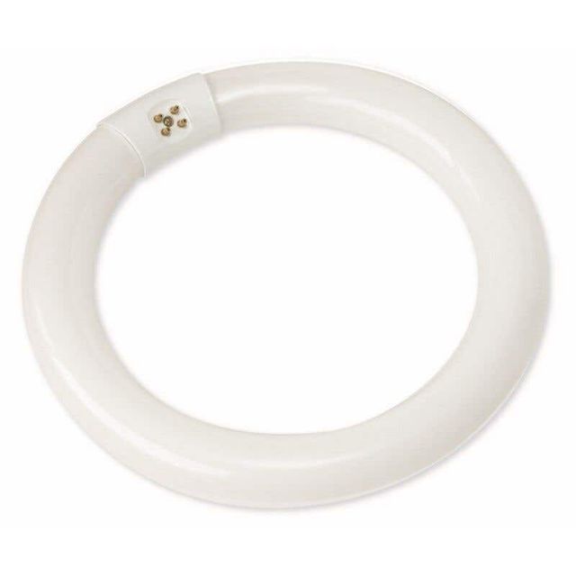 Nelson Circular Fluorescent Lamp 22W Natural
